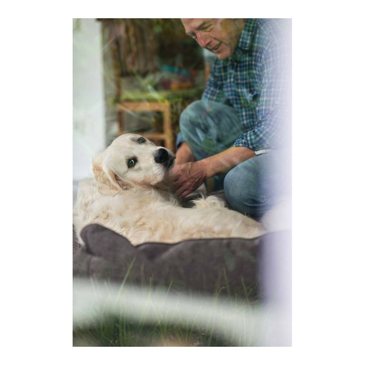 Hundesofa Hunter Boston Brun (60 x 50 cm)